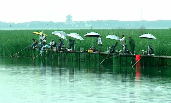 高家庄垂钓基地