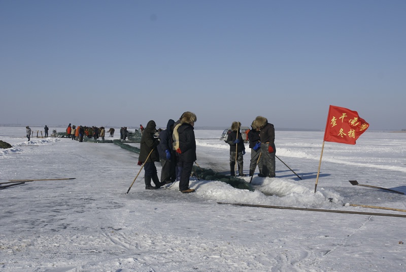 查干南湖冬捕