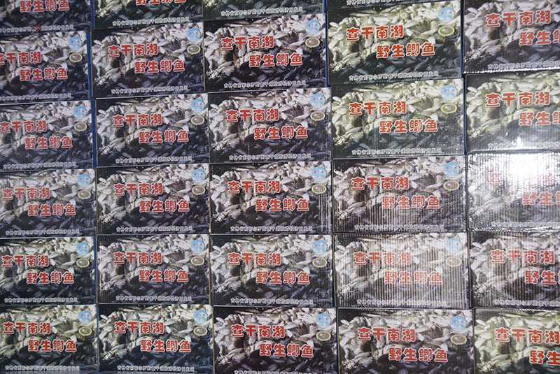 箱装小鲫鱼