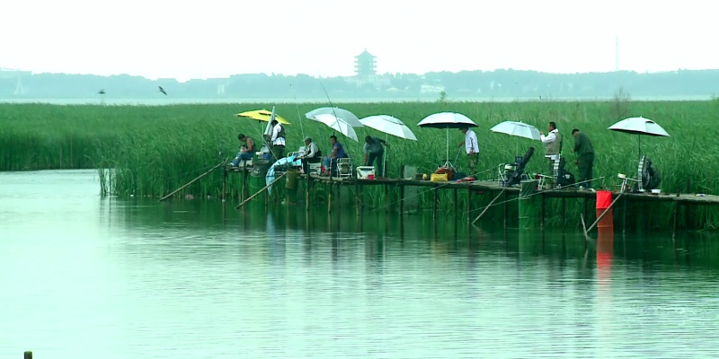 高家野外垂钓基地