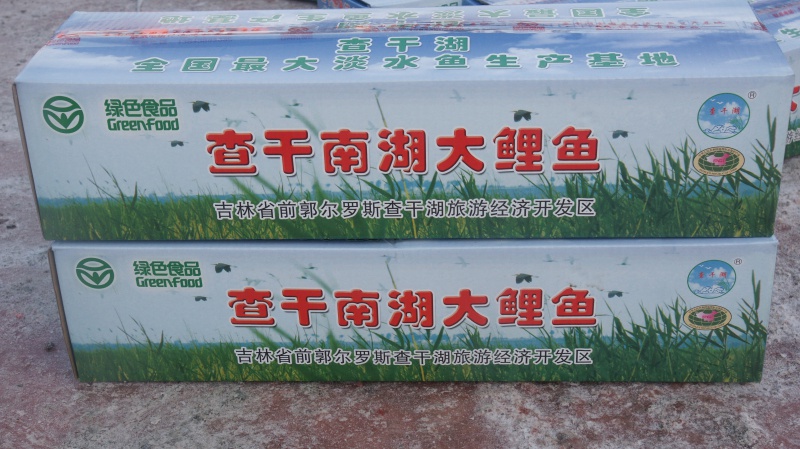 箱装大鲤鱼