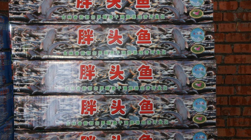 箱装胖头鱼
