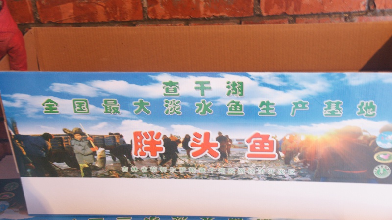 箱装胖头鱼2
