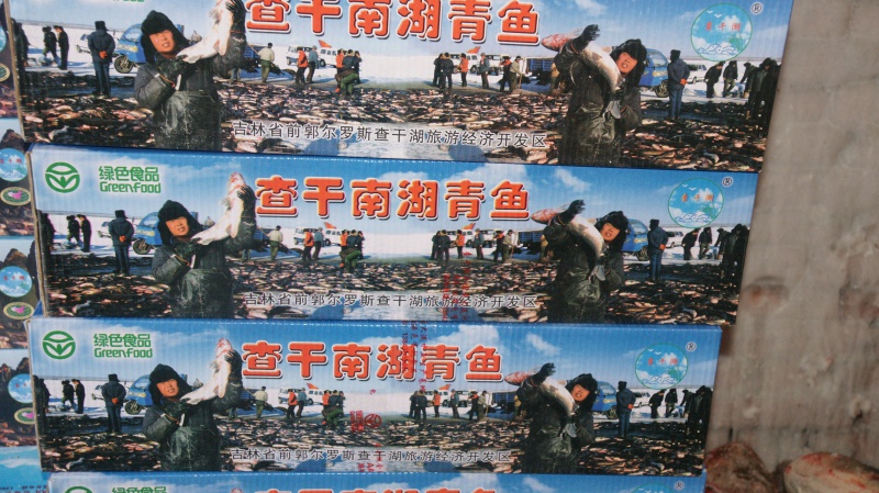 箱装青鱼2